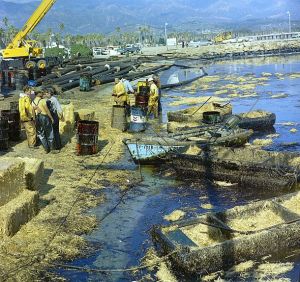 Workmen using pitchforks, rakes and shovels attempt to clean up oil-soaked straw from the beach at Santa Barbara Harbor, Calif., Feb. 7, 1969.  The oil, leaking from an off-shore well for over a week, covered local beaches and threatened many southern California shoreline areas.  (AP Photo)